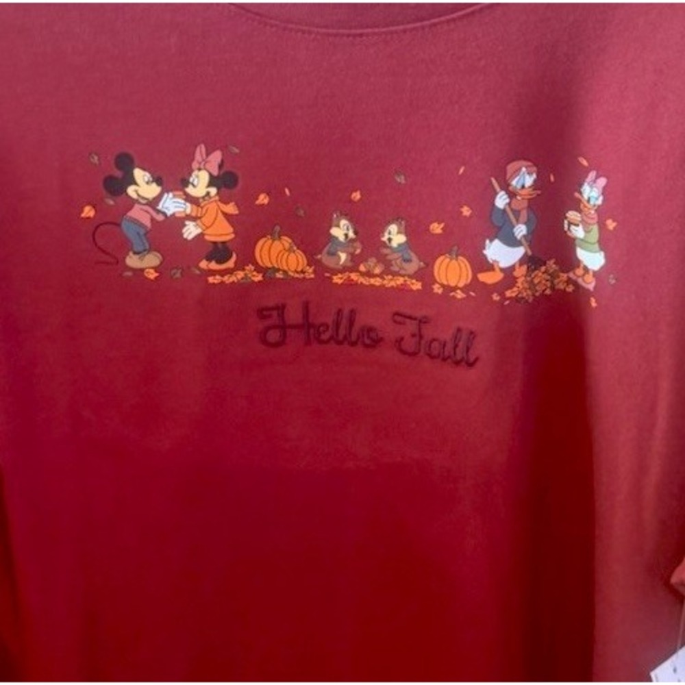 2026 Walt Disney World Hello Fall Mickey & Friends Shirt 2X Embroidered Pullover